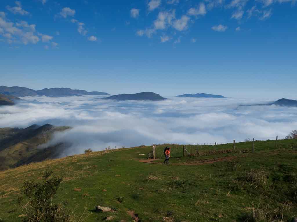 Camino de Santiago