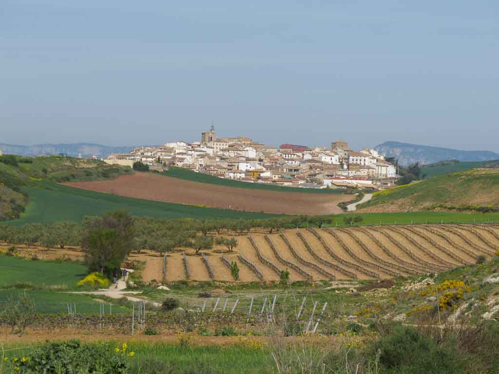 Estella