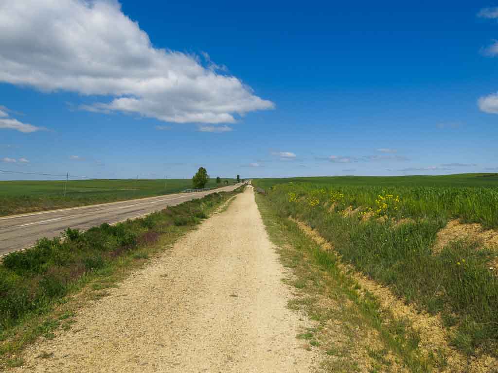 Carrión de los Condes