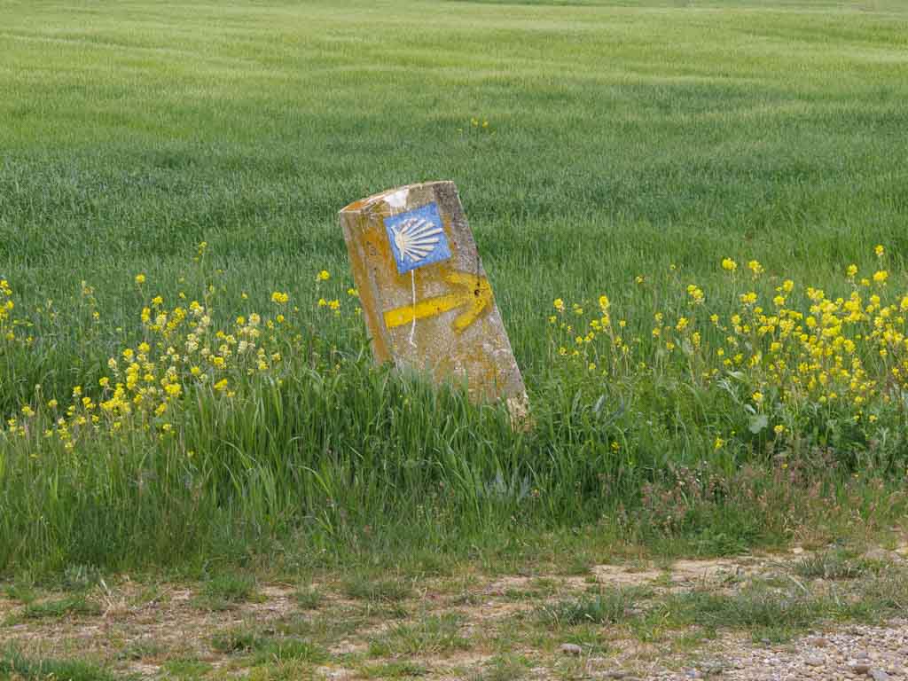 Bercianos del Real Camino