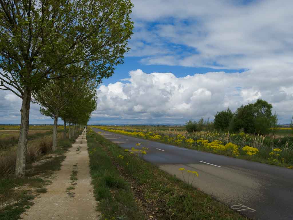 Mansilla de las Mulas