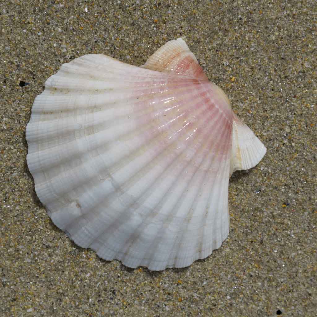 Finisterre