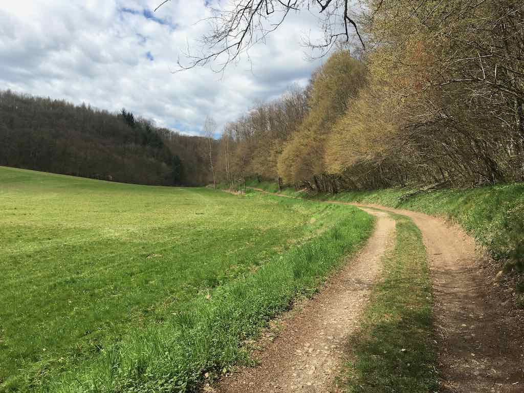 Les Abres