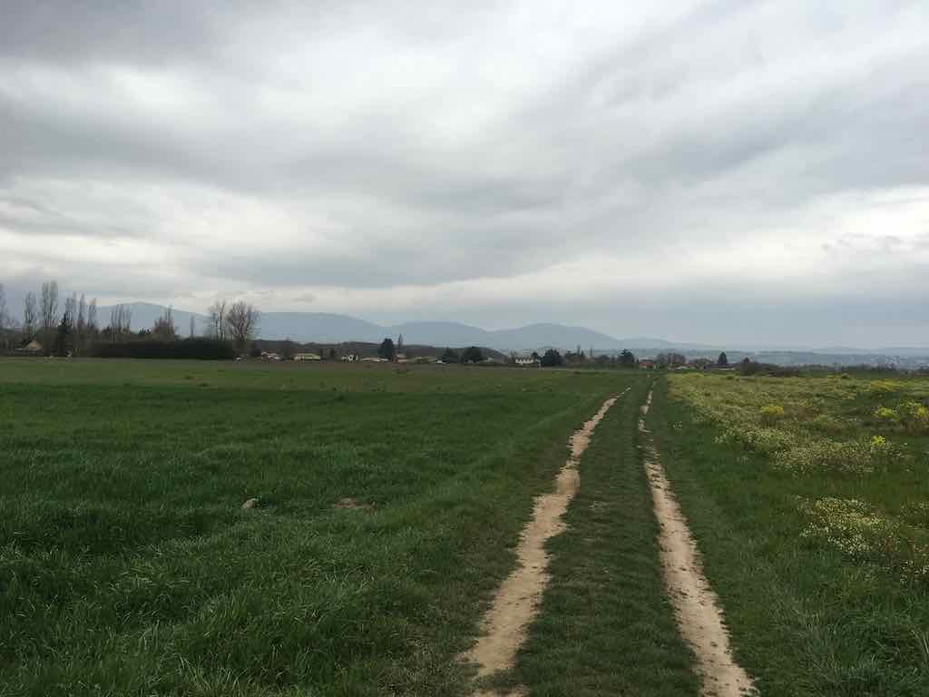 Saint Alban du Rhône