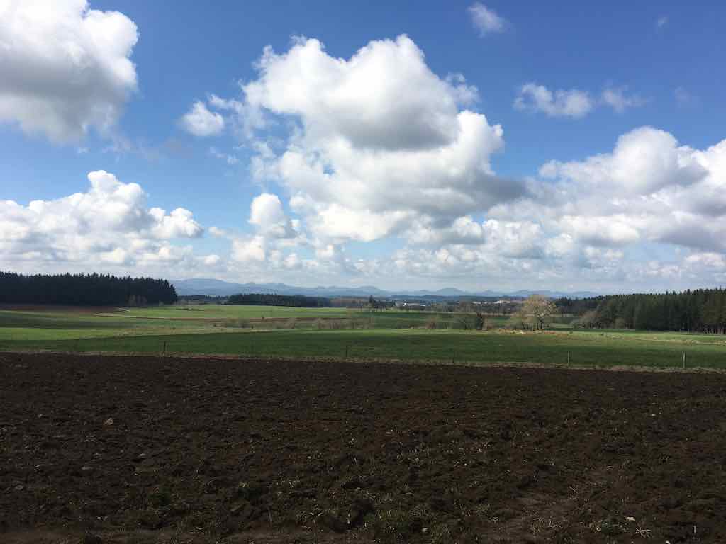 Montfaucon en Velay 