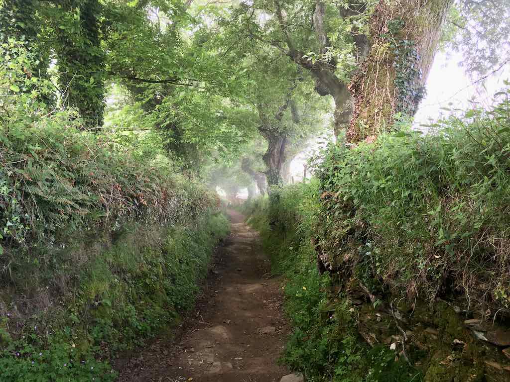 Sarria